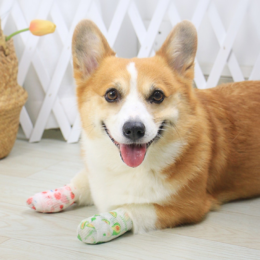 寵物繃帶 寵物彈性繃帶 寵物腳套 狗狗腳套 寵物用品 一次性襪子 彈力繃帶 防髒繃帶 狗狗繃帶 狗腳套 貓繃帶 寵物鞋套-細節圖10