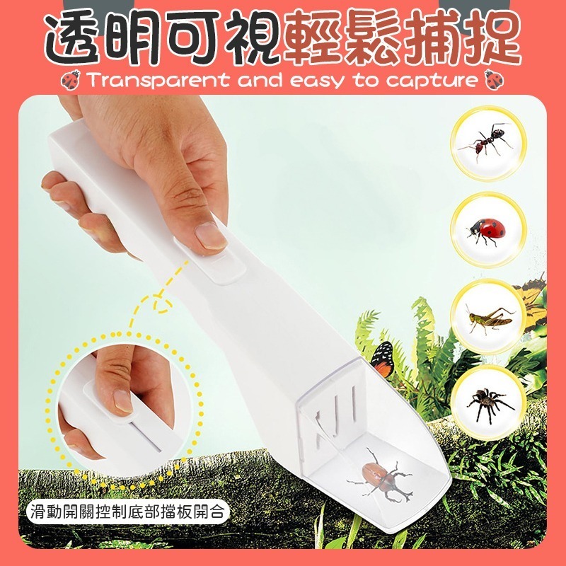 輕鬆捕捉 手持昆蟲捕捉器 昆蟲捕捉器 抓蟲神器 蟑螂捕捉器 蜘蛛捕捉器 捕捉器 昆蟲盒 抓蟲工具 抓蟲器-細節圖5