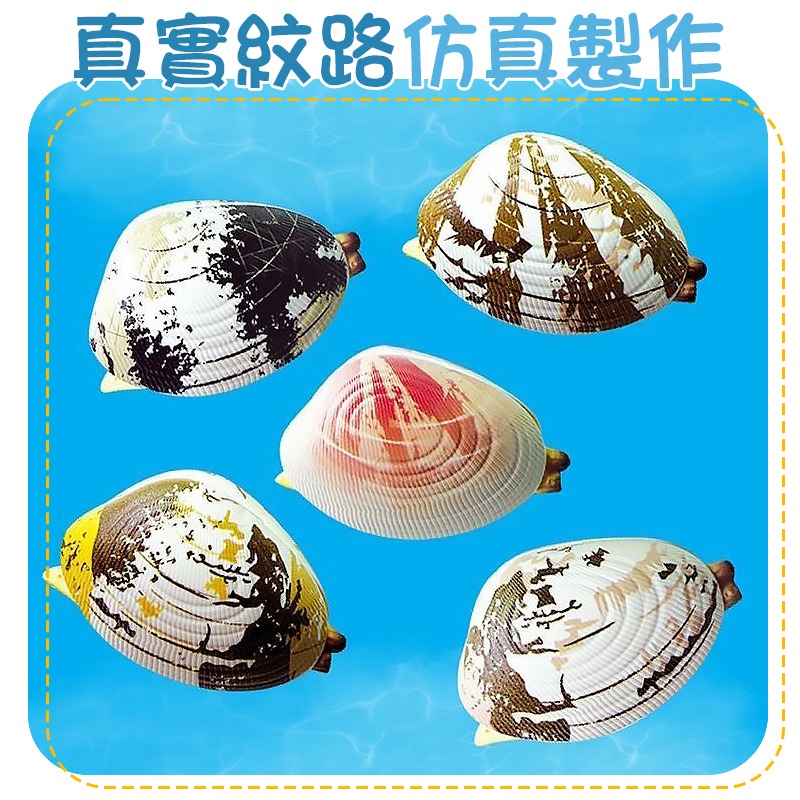 按壓噴水 仿真噴水蛤蜊 噴水蛤蜊 噴水蛤蠣 仿真蛤蜊 蛤蜊噴水 貝殼噴水 貝殼水槍 蛤蜊水槍 蛤蠣水槍 水槍 噴水小蛤蜊-細節圖4