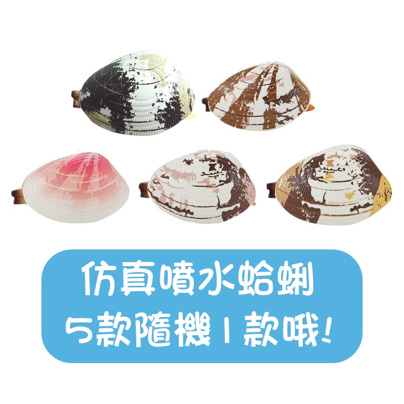 按壓噴水 仿真噴水蛤蜊 噴水蛤蜊 噴水蛤蠣 仿真蛤蜊 蛤蜊噴水 貝殼噴水 貝殼水槍 蛤蜊水槍 蛤蠣水槍 水槍 噴水小蛤蜊-規格圖10