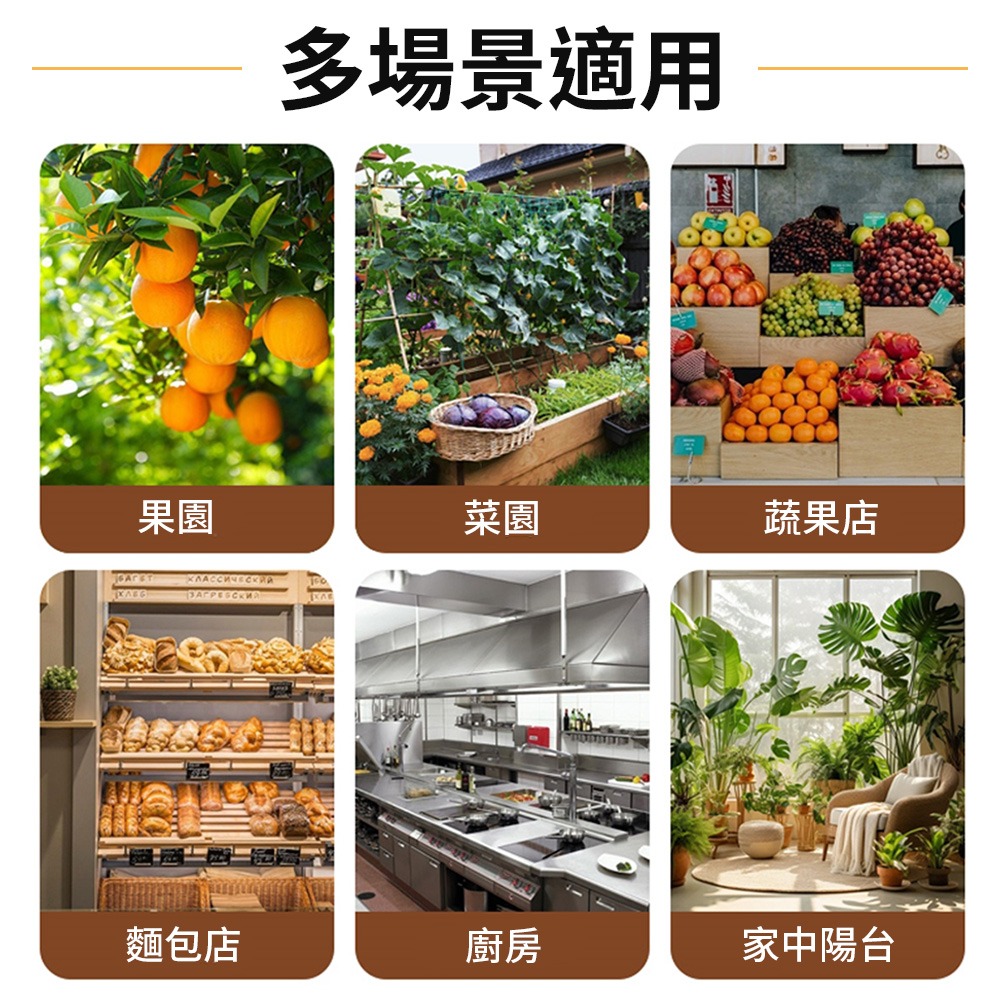 誘蠅球 超黏捕蠅球 黏蒼蠅球 捕蠅球 誘蠅球 捕蠅板 捕蠅器 黏蟲板 黏蠅板 蒼蠅貼 黏果蠅 蒼蠅紙 捕蟲-細節圖5