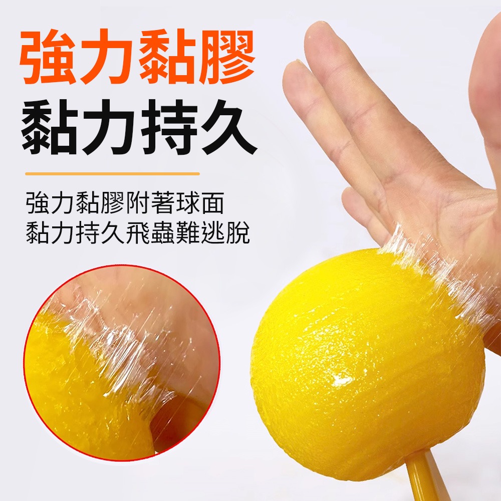 誘蠅球 超黏捕蠅球 黏蒼蠅球 捕蠅球 誘蠅球 捕蠅板 捕蠅器 黏蟲板 黏蠅板 蒼蠅貼 黏果蠅 蒼蠅紙 捕蟲-細節圖6