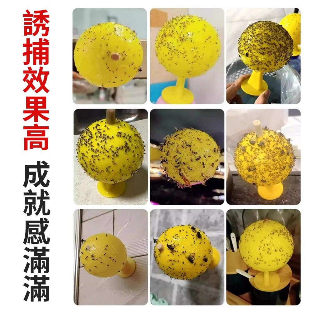 誘蠅球 超黏捕蠅球 黏蒼蠅球 捕蠅球 誘蠅球 捕蠅板 捕蠅器 黏蟲板 黏蠅板 蒼蠅貼 黏果蠅 蒼蠅紙 捕蟲-細節圖8