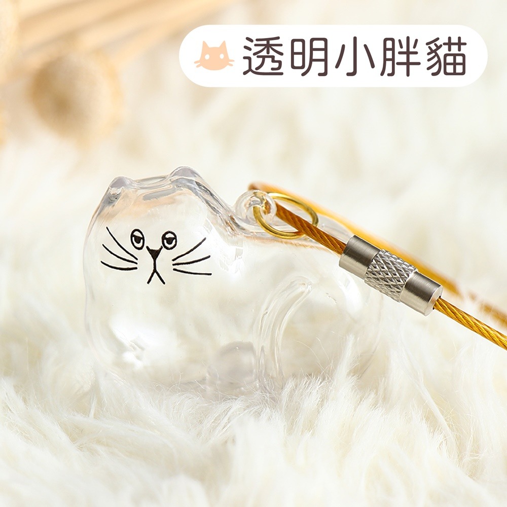 透明小胖貓