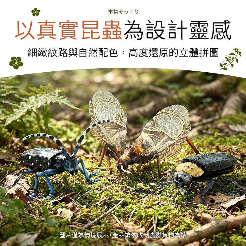 擬真3D立體拼圖 壓克力拼圖 交換禮物 昆蟲拼圖 立體拼圖-細節圖3