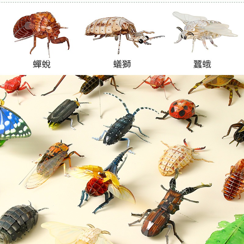 擬真3D立體拼圖 壓克力拼圖 交換禮物 昆蟲拼圖 立體拼圖-細節圖9