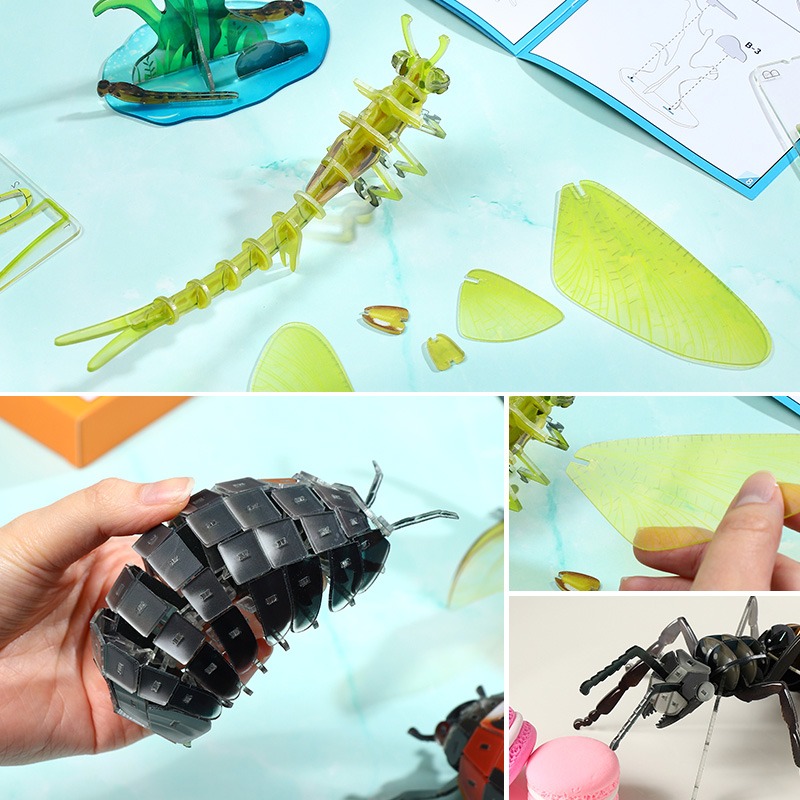 擬真3D立體拼圖 壓克力拼圖 交換禮物 昆蟲拼圖 立體拼圖-細節圖10