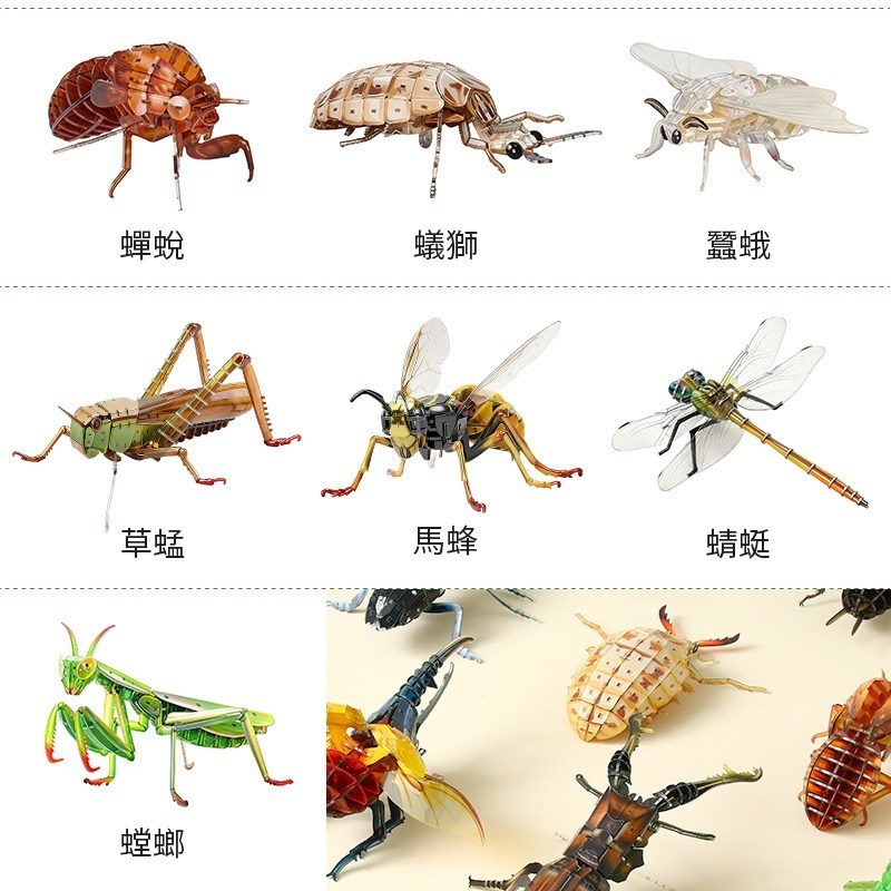 擬真3D立體拼圖 壓克力拼圖 交換禮物 昆蟲拼圖 立體拼圖-細節圖9