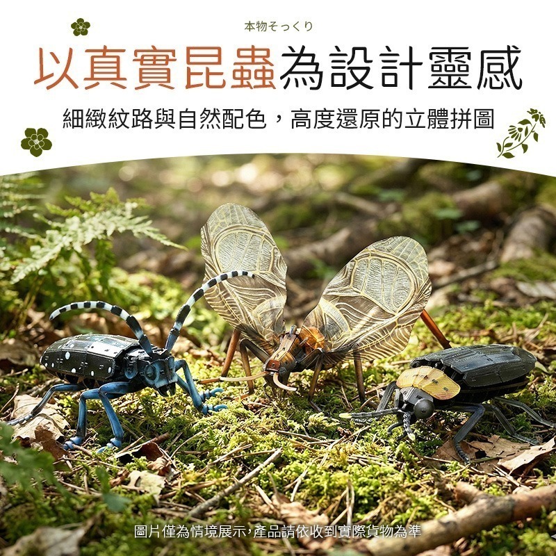 擬真3D立體拼圖 壓克力拼圖 交換禮物 昆蟲拼圖 立體拼圖-細節圖3