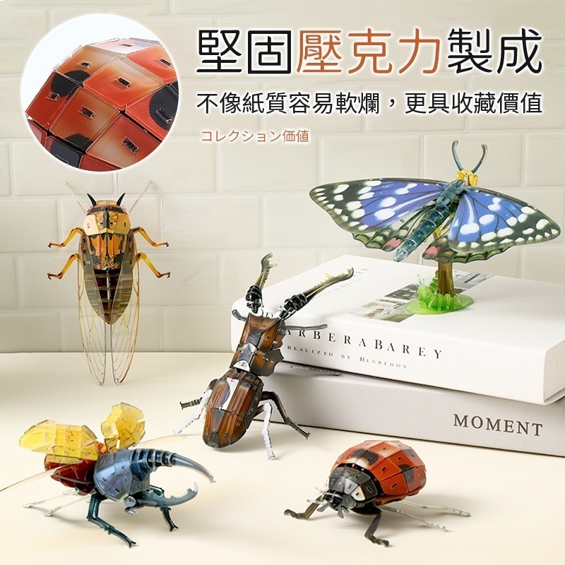 擬真3D立體拼圖 壓克力拼圖 交換禮物 昆蟲拼圖 立體拼圖-細節圖4