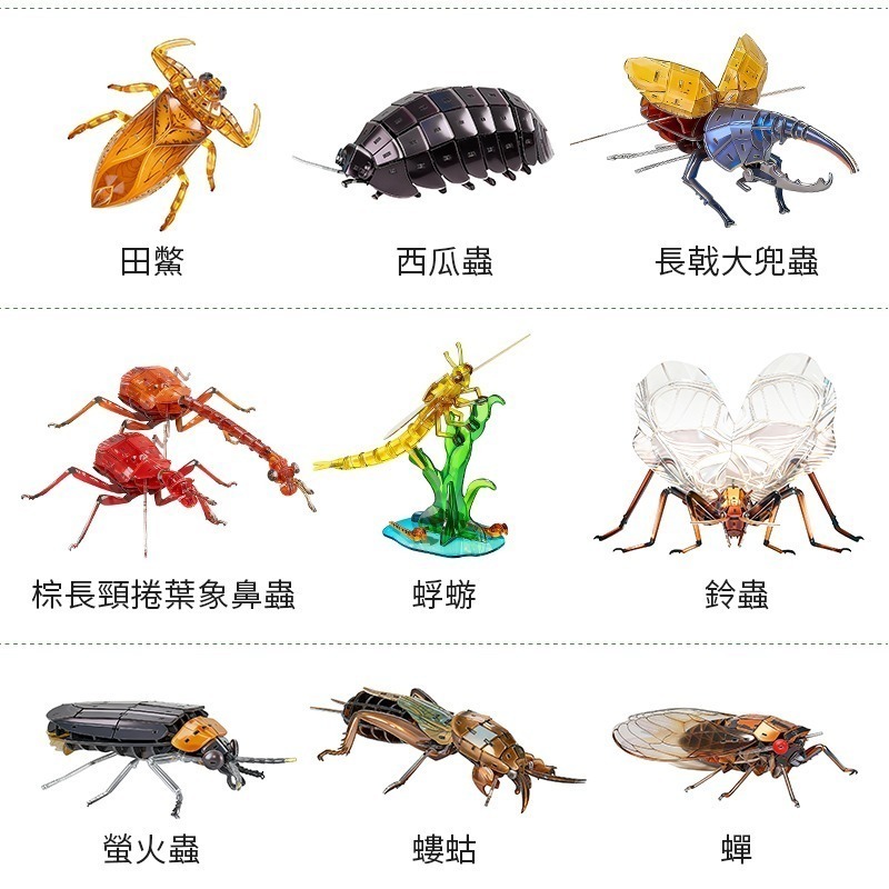 擬真3D立體拼圖 壓克力拼圖 交換禮物 昆蟲拼圖 立體拼圖-細節圖8