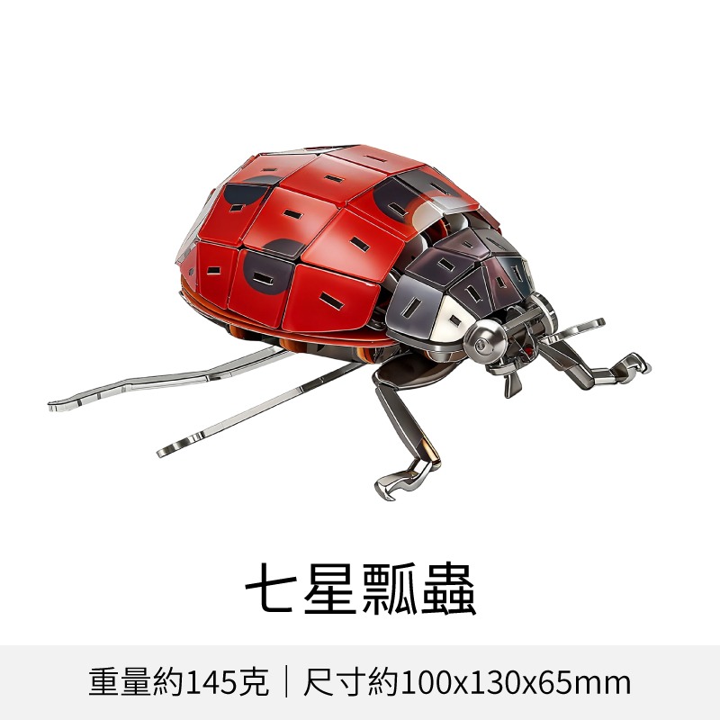 擬真3D立體拼圖 壓克力拼圖 交換禮物 昆蟲拼圖 立體拼圖-規格圖10