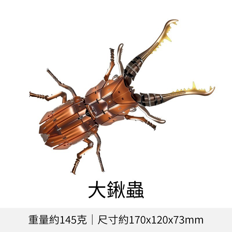 擬真3D立體拼圖 壓克力拼圖 交換禮物 昆蟲拼圖 立體拼圖-規格圖10