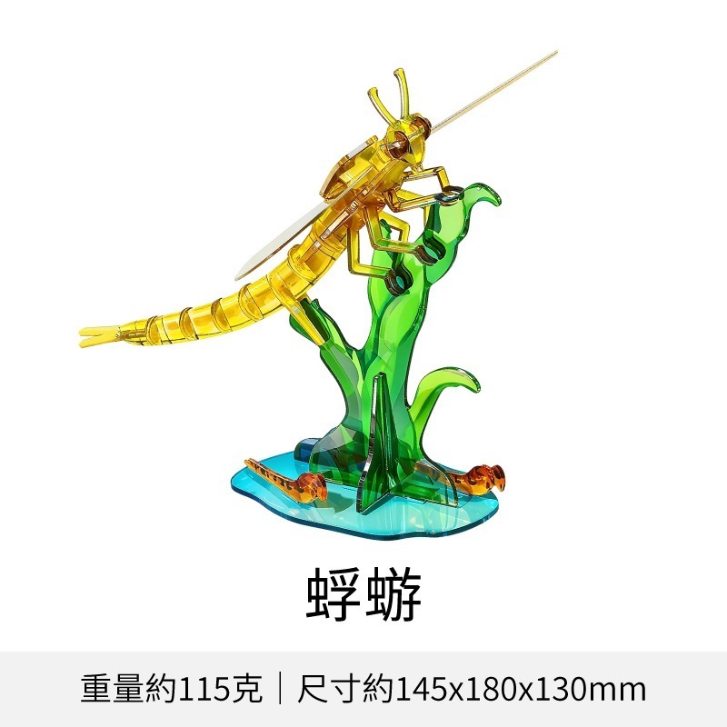 擬真3D立體拼圖 壓克力拼圖 交換禮物 昆蟲拼圖 立體拼圖-規格圖10