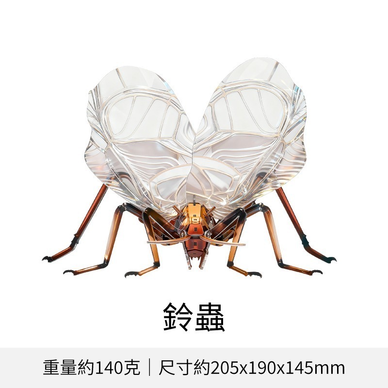 擬真3D立體拼圖 壓克力拼圖 交換禮物 昆蟲拼圖 立體拼圖-規格圖10
