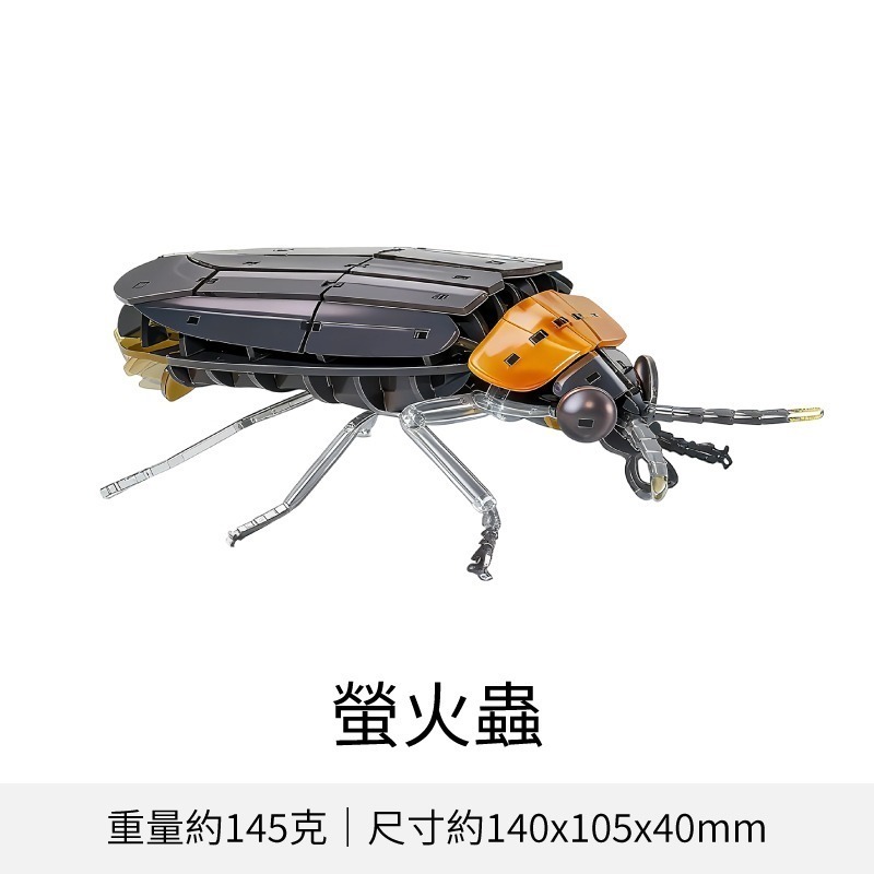 擬真3D立體拼圖 壓克力拼圖 交換禮物 昆蟲拼圖 立體拼圖-規格圖10