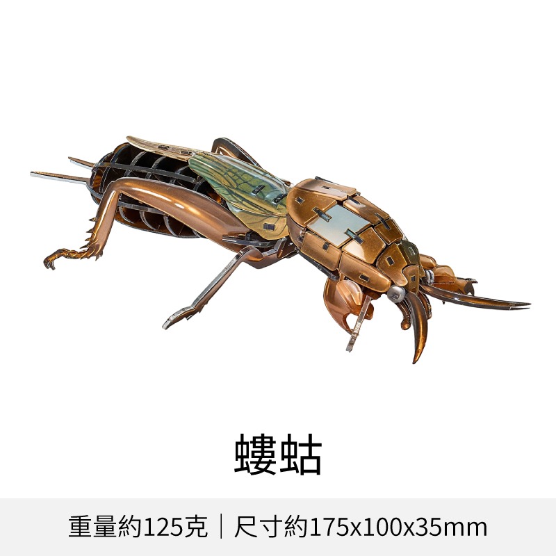擬真3D立體拼圖 壓克力拼圖 交換禮物 昆蟲拼圖 立體拼圖-規格圖10
