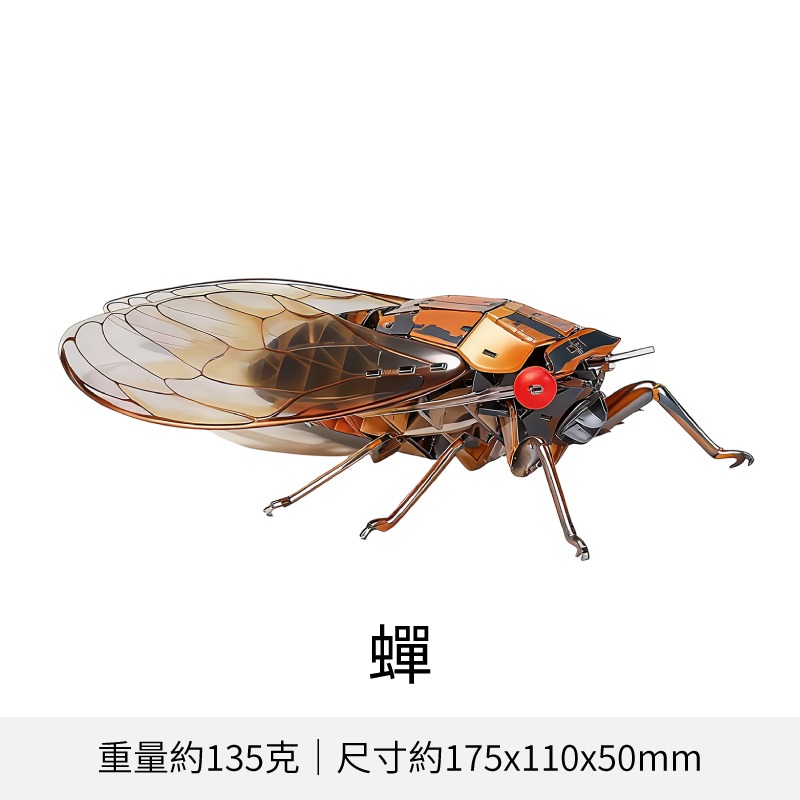 擬真3D立體拼圖 壓克力拼圖 交換禮物 昆蟲拼圖 立體拼圖-規格圖10