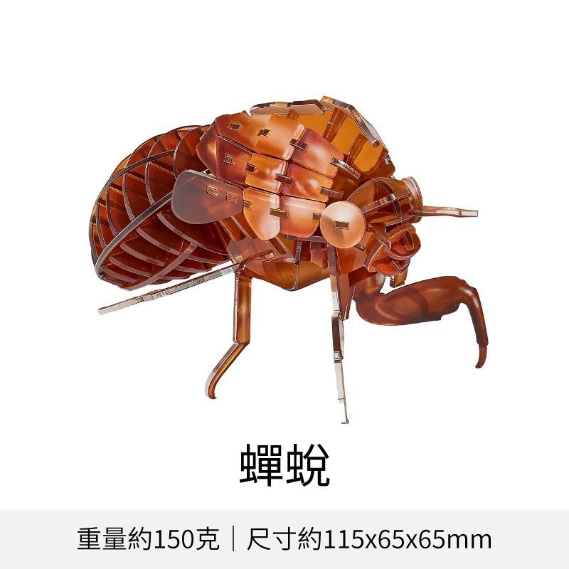 擬真3D立體拼圖 壓克力拼圖 交換禮物 昆蟲拼圖 立體拼圖-規格圖10