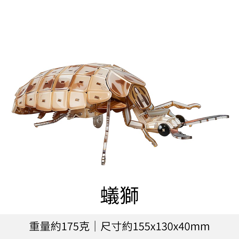 擬真3D立體拼圖 壓克力拼圖 交換禮物 昆蟲拼圖 立體拼圖-規格圖10