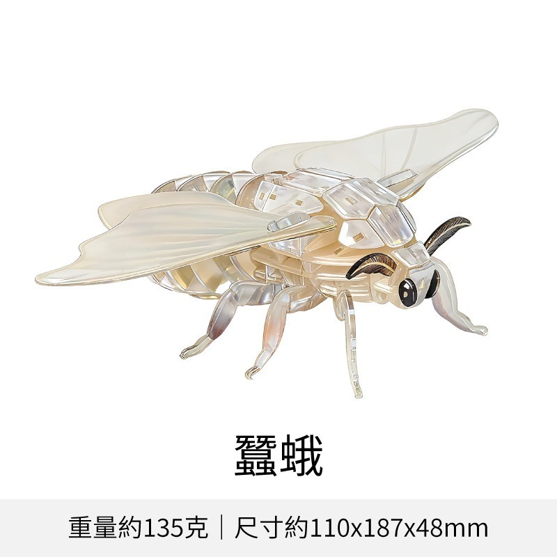 擬真3D立體拼圖 壓克力拼圖 交換禮物 昆蟲拼圖 立體拼圖-規格圖10