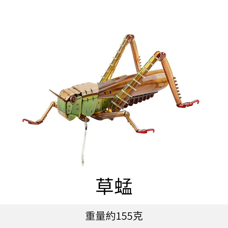 擬真3D立體拼圖 壓克力拼圖 交換禮物 昆蟲拼圖 立體拼圖-規格圖10
