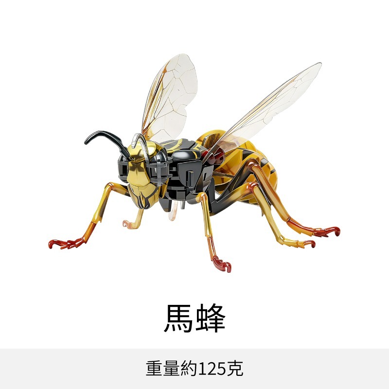 擬真3D立體拼圖 壓克力拼圖 交換禮物 昆蟲拼圖 立體拼圖-規格圖10