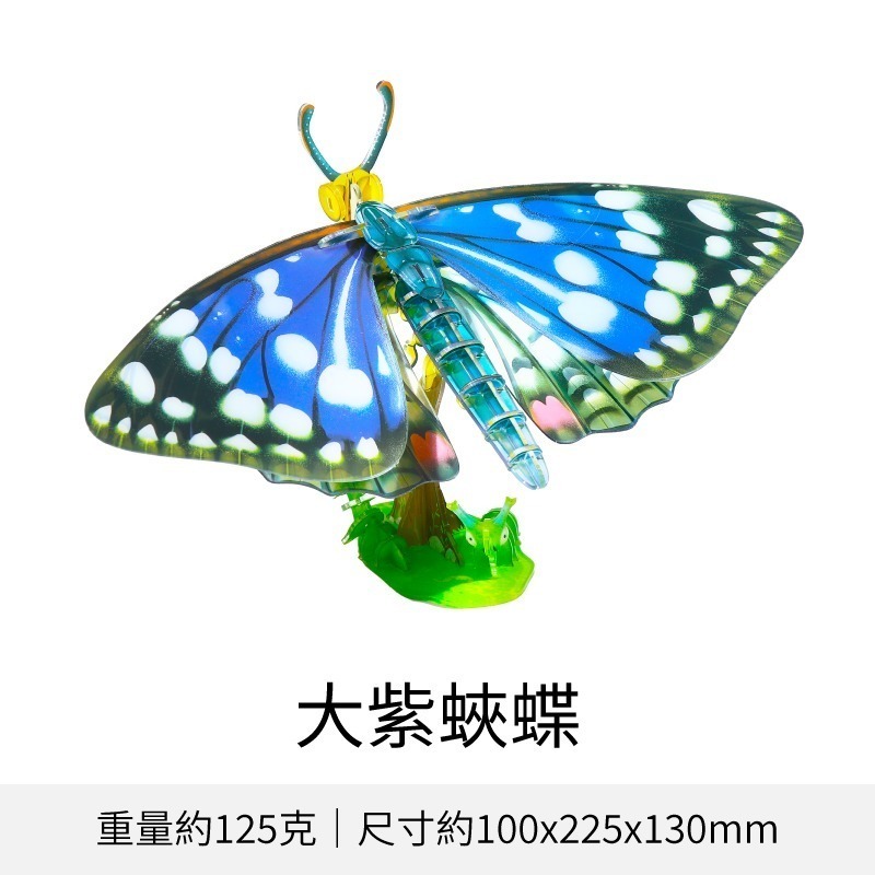 擬真3D立體拼圖 壓克力拼圖 交換禮物 昆蟲拼圖 立體拼圖-規格圖10