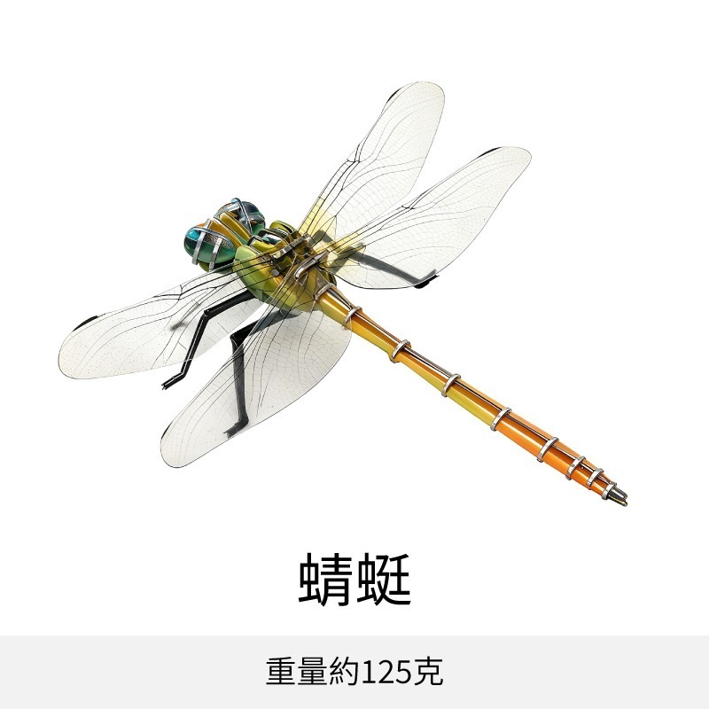 擬真3D立體拼圖 壓克力拼圖 交換禮物 昆蟲拼圖 立體拼圖-規格圖10