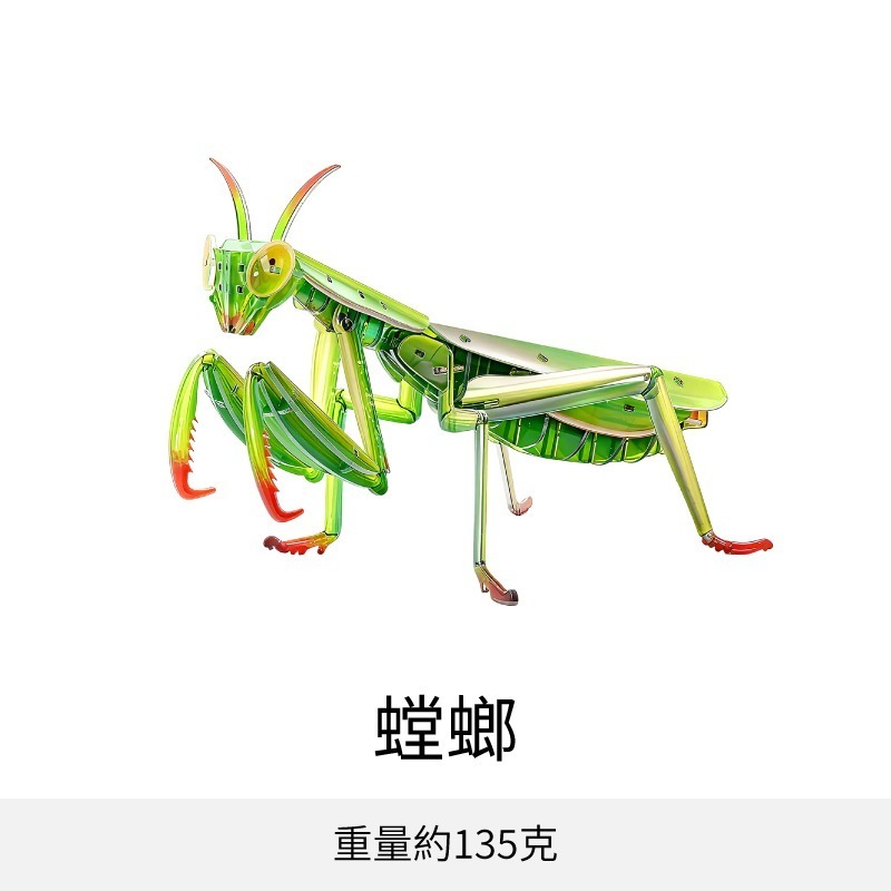 擬真3D立體拼圖 壓克力拼圖 交換禮物 昆蟲拼圖 立體拼圖-規格圖10