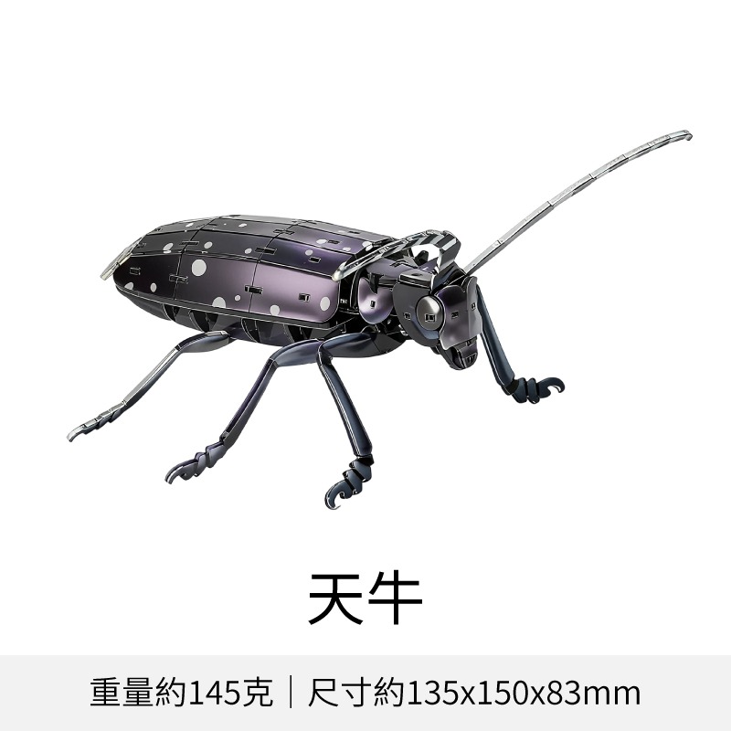 擬真3D立體拼圖 壓克力拼圖 交換禮物 昆蟲拼圖 立體拼圖-規格圖10