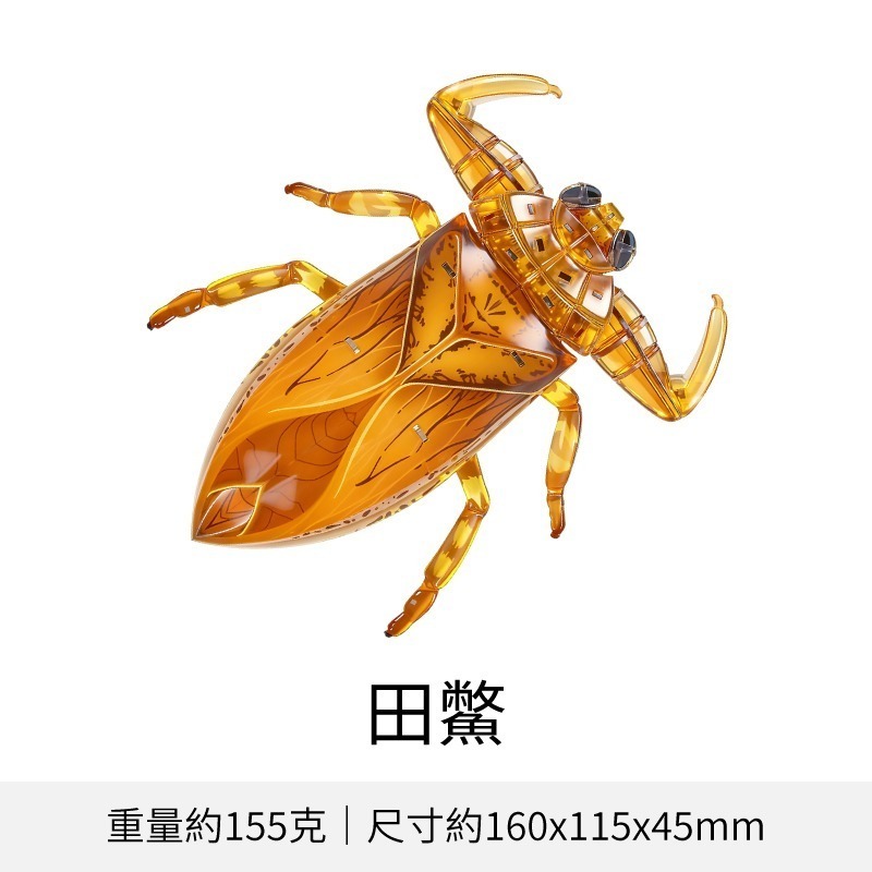 擬真3D立體拼圖 壓克力拼圖 交換禮物 昆蟲拼圖 立體拼圖-規格圖10
