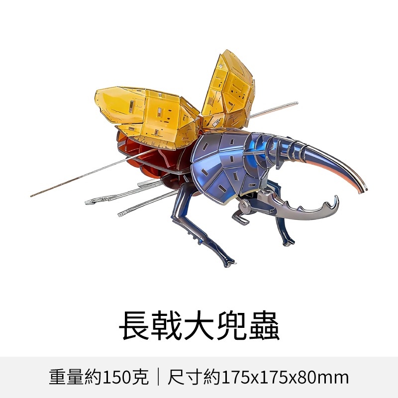 擬真3D立體拼圖 壓克力拼圖 交換禮物 昆蟲拼圖 立體拼圖-規格圖10