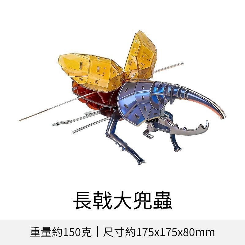 擬真3D立體拼圖 壓克力拼圖 交換禮物 昆蟲拼圖 立體拼圖-規格圖10