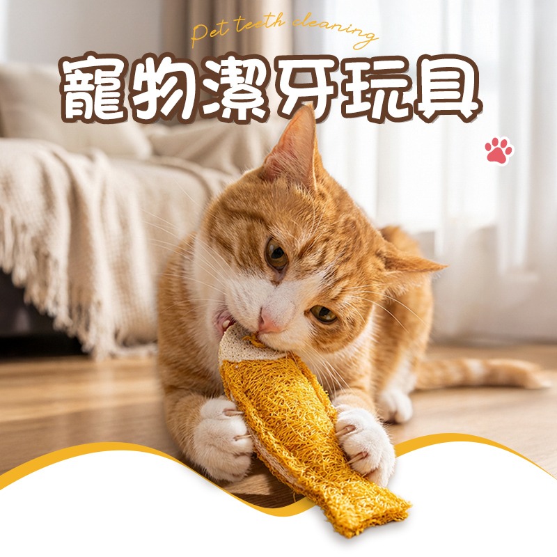 寵物潔牙玩具 貓咪磨牙玩具 寵物絲瓜絡玩具 寵物啃咬玩具 寵物潔牙玩具 貓咪潔牙玩具-細節圖2