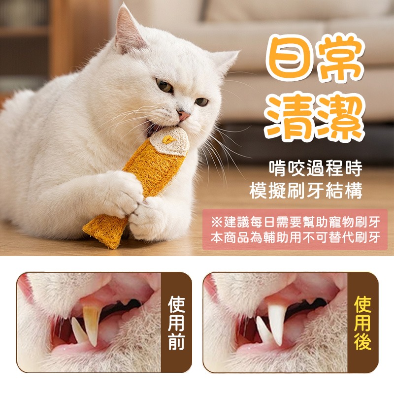 寵物潔牙玩具 貓咪磨牙玩具 寵物絲瓜絡玩具 寵物啃咬玩具 寵物潔牙玩具 貓咪潔牙玩具-細節圖4
