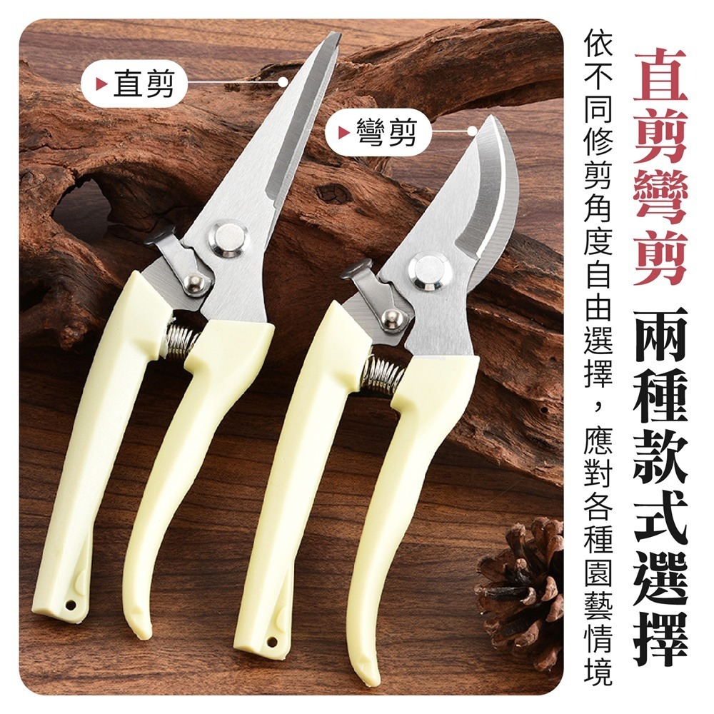 不鏽鋼 園藝剪刀 花園園藝剪 修枝剪刀 花藝剪刀 粗枝剪刀 園藝剪 果樹剪 修花剪刀 盆栽修剪-細節圖3