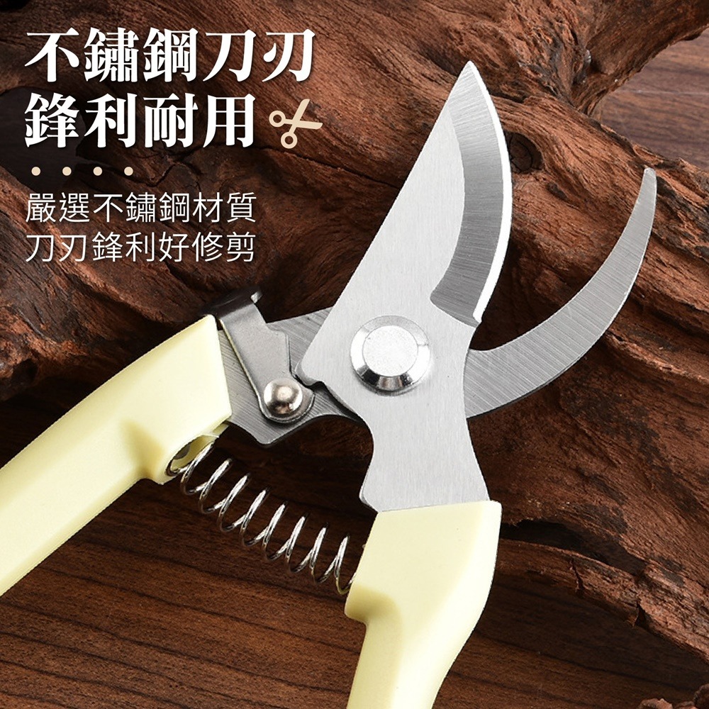 不鏽鋼 園藝剪刀 花園園藝剪 修枝剪刀 花藝剪刀 粗枝剪刀 園藝剪 果樹剪 修花剪刀 盆栽修剪-細節圖4