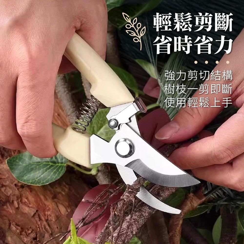 不鏽鋼 園藝剪刀 花園園藝剪 修枝剪刀 花藝剪刀 粗枝剪刀 園藝剪 果樹剪 修花剪刀 盆栽修剪-細節圖5