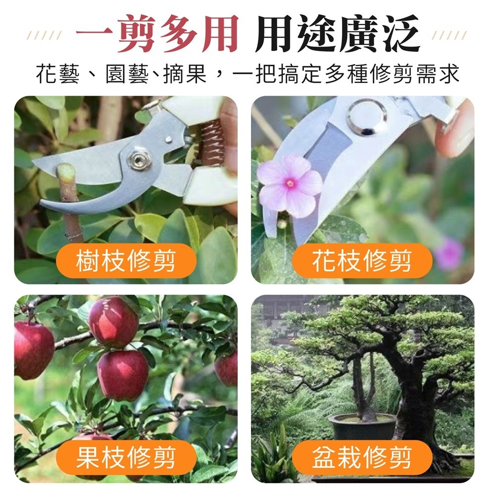 不鏽鋼 園藝剪刀 花園園藝剪 修枝剪刀 花藝剪刀 粗枝剪刀 園藝剪 果樹剪 修花剪刀 盆栽修剪-細節圖8