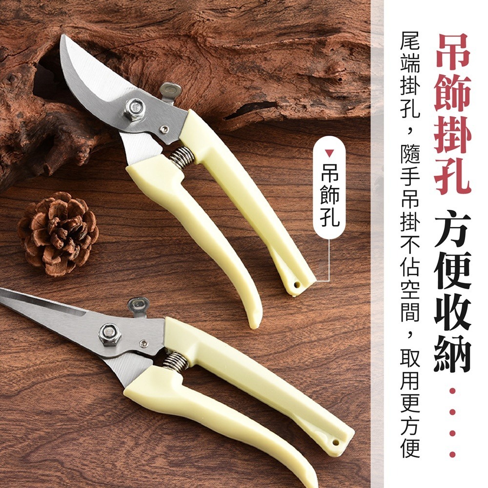 不鏽鋼 園藝剪刀 花園園藝剪 修枝剪刀 花藝剪刀 粗枝剪刀 園藝剪 果樹剪 修花剪刀 盆栽修剪-細節圖9