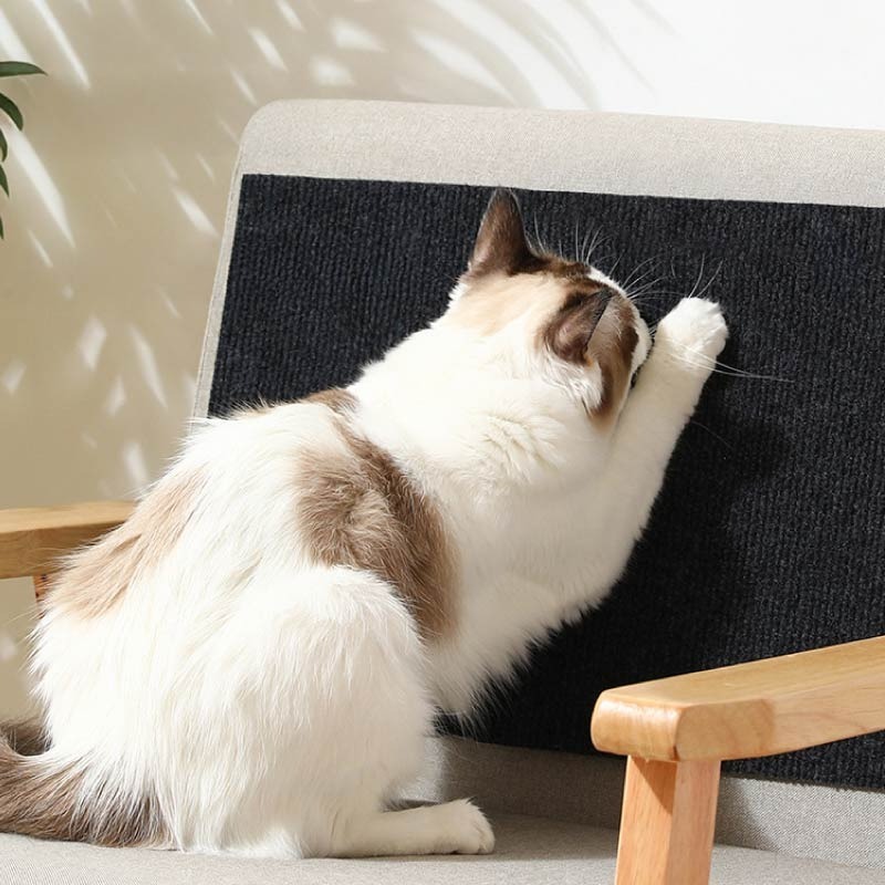 牆貼貓抓墊 貓抓壁貼墊 貼牆貓抓板 貓抓墊壁貼 貓抓保護貼-細節圖11