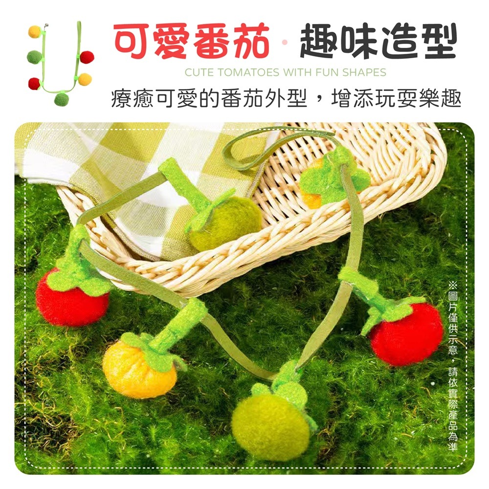番茄球逗貓棒 番茄逗貓棒 響鈴逗貓棒 貓薄荷逗貓棒 貓薄荷玩具 鈴鐺貓咪玩具 貓玩具 貓咪玩具 逗貓棒-細節圖3