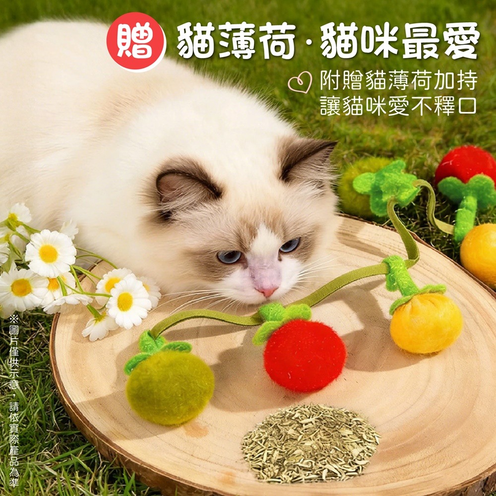 番茄球逗貓棒 番茄逗貓棒 響鈴逗貓棒 貓薄荷逗貓棒 貓薄荷玩具 鈴鐺貓咪玩具 貓玩具 貓咪玩具 逗貓棒-細節圖4
