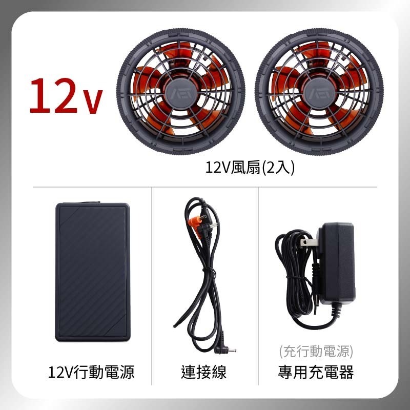 12V款