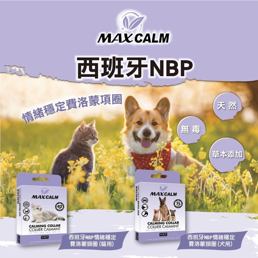 MA國際💎西班牙NBP 情緒穩定費洛蒙頸圈-細節圖3