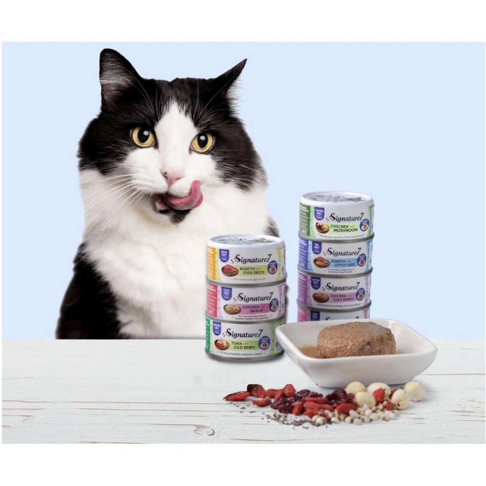 MA國際💎心寵 Sigmature7 爆漿肉醬貓主食罐(80g)｜貓罐 主食貓罐-細節圖3