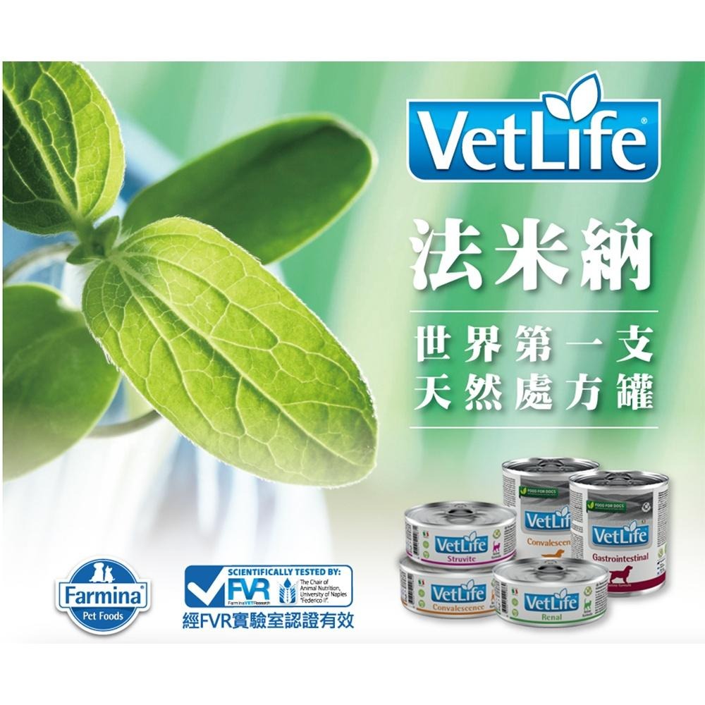 法米納 Vet Life 貓處方罐系列 85g 貓腎罐 處方罐頭 泌尿道 結石 貓腸胃道 腎臟罐 腎貓 血糖-細節圖3