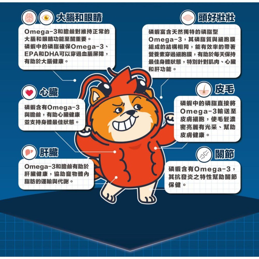 【肉球世界】南極磷蝦大肉包 狗主食餐包 全齡犬 165g  頂峰大牛腩/冰峰鮭魚排/草原羊小排/谷風雞大腿-細節圖2