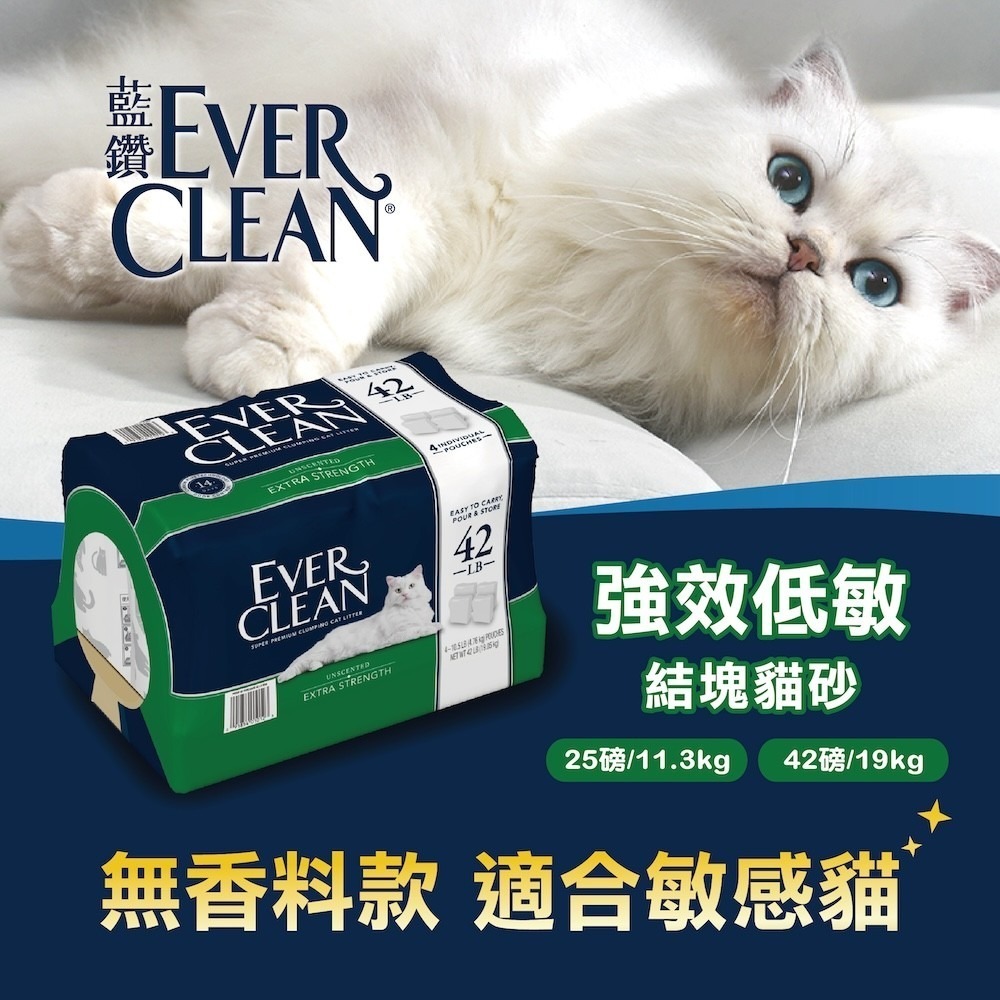 【EverClean 藍鑽】 強效低敏結塊貓砂無香味 - 42lb-細節圖2